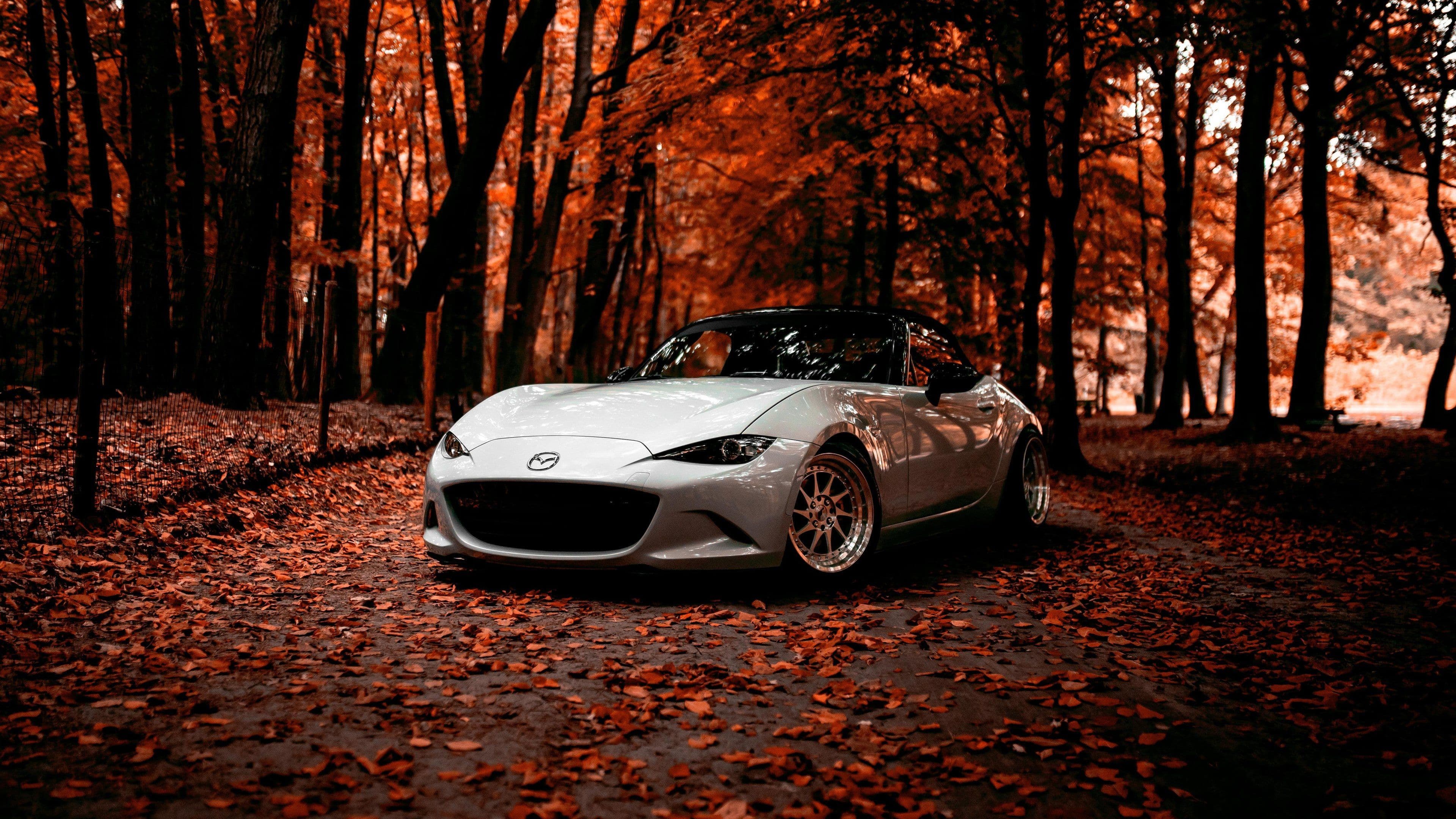 Mazda diagnostic equipment